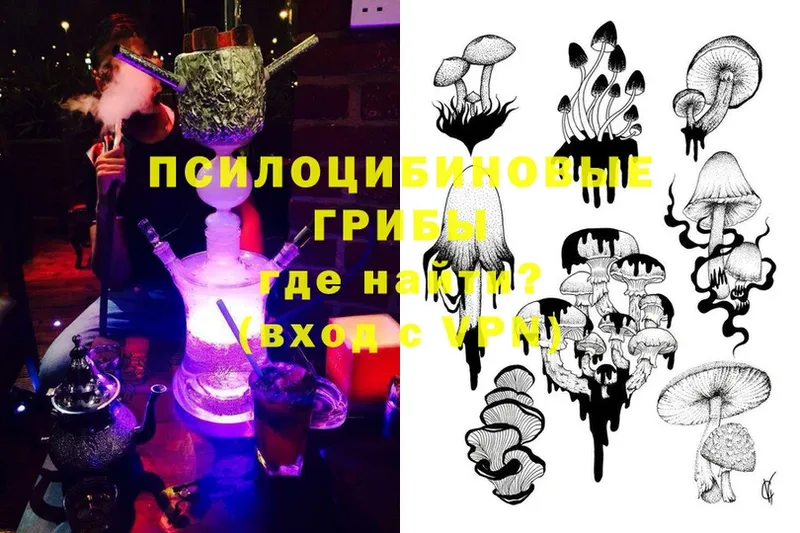 Галлюциногенные грибы Magic Shrooms  где продают наркотики  Железногорск 